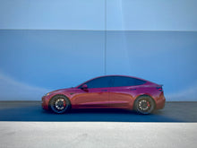 Load image into Gallery viewer, AST Lowering Springs